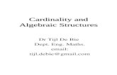 Cardinality and Algebraic Structures Dr Tijl De Bie Dept. Eng. Maths. email: tijl.debie@gmail.com.