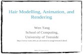 Bath, 25 Years of CG Hair Modelling, Animation, and Rendering Wen Tang School of Computing, University of Teesside .