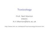 Toxicology Prof. Neil Marrion DW2C N.V.Marrion@bris.ac.uk .