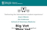 "Delivering the international student experience" Joyce Wason Jim Anderson School of Veterinary Medicine Big Vet Wee vet.