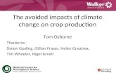 The avoided impacts of climate change on crop production Tom Osborne Thanks to: Simon Gosling, Gillian Fraser, Helen Greatrex, Tim Wheeler, Nigel Arnell.