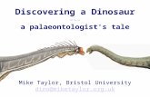 Discovering a Dinosaur ––– a palaeontologist's tale Mike Taylor, Bristol University dino@miketaylor.org.uk.