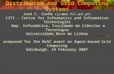 Group Abstractions for Distributed and Grid Computing Systems José C. Cunha (jcc@di.fct.unl.pt) CITI – Centre for Informatics and Information Technologies.