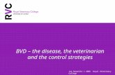 BVD – the disease, the veterinarian and the control strategies Joe Brownlie © 2008 Royal Veterinary College.