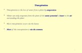 1 Transpiration Transpiration is the loss of water from a plant by evaporationTranspiration is the loss of water from a plant by evaporation Water can.
