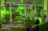 INDOOR AIR POLLUTION SOURCES AND POLICY Peter Brimblecombe University of East Anglia Norwich UK.