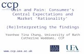 Www.ccp.uea.ac.uk Gain and Pain: Consumers Central Expectations and Market Rationality (Re)Interpreting the findings Yoonhee Tina Chang, University of.