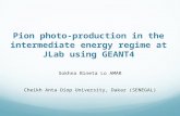 Pion photo-production in the intermediate energy regime at JLab using GEANT4 Sokhna Bineta Lo AMAR Cheikh Anta Diop University, Dakar (SENEGAL)