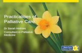 Practicalities of Palliative Care Dr Sarah Holmes Consultant in Palliative Medicine.