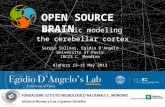 Realistic modeling the cerebellar cortex Sergio Solinas, Egidio DAngelo University of Pavia IRCCS C. Mondino Alghero 13-15 May 2013 OPEN SOURCE BRAIN.