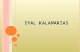 EPAL KALAMARIAS. A BOUT E PAL K ALAMARIAS Our school, which is called EPAL of Kalamaria is situated in the east region of Thessaloniki, called Kalamaria.