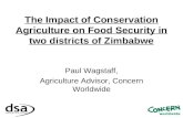 The Impact of Conservation Agriculture on Food Security in two districts of Zimbabwe Paul Wagstaff, Agriculture Advisor, Concern Worldwide.