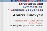 Hierarchical Cluster Structures and Symmetries in Genomic Sequences Andrei Zinovyev Institut des Hautes Études Scientifiques Math@Bio group of M.Gromov.
