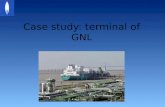Case study: terminal of GNL. I.Situation of French terminals II.Questions/Answers SUMMARY.