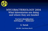 MYCOBACTERIOLOGY 2004 What laboratories are doing and where they are headed Current identification techniques Molecular Current identification techniques.