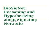 BioSigNet: Reasoning and Hypothesizing about Signaling Networks Nam Tran.