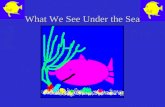 What We See Under the Sea. Sea Urchin, Sea Urchin what do you see? I see a Sea Crab playing by me.