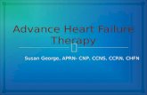 Susan George, APRN- CNP, CCNS, CCRN, CHFN. Epidemiology of Heart Failure 6 More deaths from heart failure (HF )than from all forms of cancer combined.