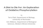 A Diet to Die For: An Exploration of Oxidative Phosphorylation by Terry Platt, Department of Biology, University of Rochester Eric Ribbens, Department.