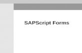 SAPScript Forms. SAPScript Form Components SAPScript Form Components A form of the graphical Form Painter consists of five components. In alphanumeric.