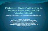 History, Problems and Recommended Solutions Fisheries Data Collection in Puerto Rico and the US Virgin Islands Puerto Rico DNER USVI Department of Fish.