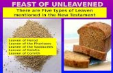 Leaven of Herod Leaven of the Pharisees Leaven of the Sadducees Leaven of Galatia Leaven of Corinth There are Five types of Leaven mentioned in the New.