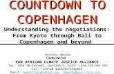 COUNTDOWN TO COPENHAGEN Understanding the negotiations: From Kyoto through Bali to Copenhagen and beyond Mithika Mwenda COORDINATOR PAN AFRICAN CLMATE.