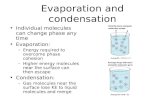 Evaporation and condensation Individual molecules can change phase any time Evaporation: –Energy required to overcome phase cohesion –Higher energy molecules.