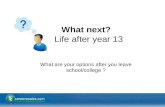 1 What are your options after you leave school/college ? What next? Life after year 13.