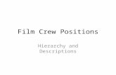 Film Crew Positions Hierarchy and Descriptions. Production Producer Director First Assistant Director (1 st AD) Second Assistant Director (2 nd AD) Script.