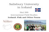 Salisbury University in Iceland Biol 399 International Field Studies Iceland: Fish and Other Fauna.