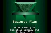 Business Plan Brief summary of Executive Summary and Business Plan.