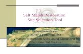 Salt Marsh Restoration Site Selection Tool An Example Application: Ranking Potential Salt Marsh Restoration Sites Using Social and Environmental Factors.