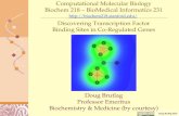 Computational Molecular Biology Biochem 218 – BioMedical Informatics 231   Discovering Transcription.