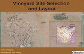 Vineyard Site Selection and Layout Dean Volenberg UW-Extension Door County.