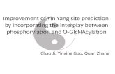 Improvement of Yin Yang site prediction by incorporating the interplay between phosphorylation and O-GlcNAcylation Chao Ji, Yinxing Guo, Quan Zhang.