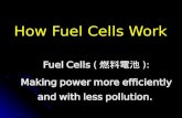 How Fuel Cells Work Fuel Cells ( ): Making power more efficiently and with less pollution.