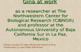 Gina at work as a researcher at The Northwestern Center for Biological Research (CIBNOR) and professor at the Autonomous University of Baja California.