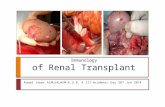 Immunology of Renal Transplant Ahmad Jaber ALMUJALHEM-K.U.B. R III-Academic Day 30 th Jan 2014.