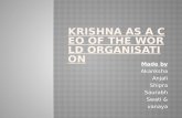 krishna as a leader