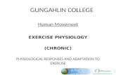 GUNGAHLIN COLLEGE Human Movement EXERCISE PHYSIOLOGY (CHRONIC) PHYSIOLOGICAL RESPONSES AND ADAPTATION TO EXERCISE.