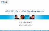 GBC_007_E1_1 GSM signaling system-48