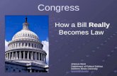 Congress How a Bill Really Becomes Law Artemus Ward Department of Political Science Northern Illinois University aeward@niu.edu.