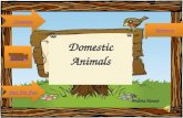 Domestic Animals BY Malsha Herath Domestic Animals By Malsha Herath Contents Just For Fun Just For Fun Movie References.