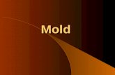 Mold Mold. Molda growing problem Introduction Mold Litigation is increasing Mold Litigation is expensive Contractors are target defendants.