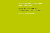 Irish Folk Custom and Belief by Seán Ó Súilleabháin