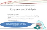 Enzymes and Catalysts Learning Outcomes Understand that enzymes are catalysts produced by living cells How temperature can affect the rates of enzyme catalysed.