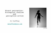 Direct perception: Ecological realism and perception-action PJ Treffner metaffordance.com metaffordance.com click.