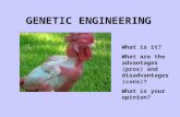 GENETIC ENGINEERING What is it? What are the advantages (pros) and disadvantages (cons)? What is your opinion?