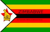 ZIMBABWE By Gabrielle Wiltse & Brianna Gouw. WHERE IS ZIMBABWE & WHY IS IT MAKING NEWS? Located in the south eastern region of Africa, surrounded by Zambia,